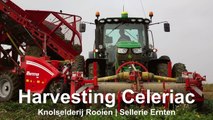 Harvesting Celeriac   Grimme Rootster 604 & John Deere 6150R   Knolselderij rooien C Breure en