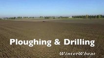 Ploughing & drilling wheat   Fendt 936 & 724   Kverneland u-drill & 7 furrow plough Van Peperstr