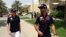 Daniel Ricciardo and Max Verstappen meet the fans in Bahra