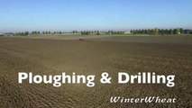 Ploughing & drilling wheat   Fendt 936 & 724   Kverneland u-drill & 7 furrow plough Van Peper