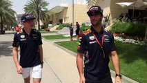 Daniel Ricciardo and Max Verstappen meet the fans in
