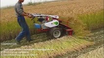 Primitive Technology vs World Modern Agriculture Progress Mega Machines Harvester Collector Tra