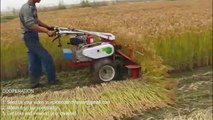 Primitive Technology vs World Modern Agriculture Progress Mega Machines Harvester Collector