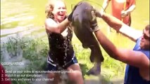 Top 10 Amazing Viral Videos 2017 Fishing Sexy Girls Cambodia Traditional Net Fishing