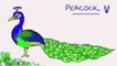 How to draw a Peacock - Easy step-by-step drawing lessons for kids