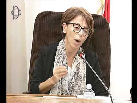 Roma - Audizione Cgil (30.05.17)