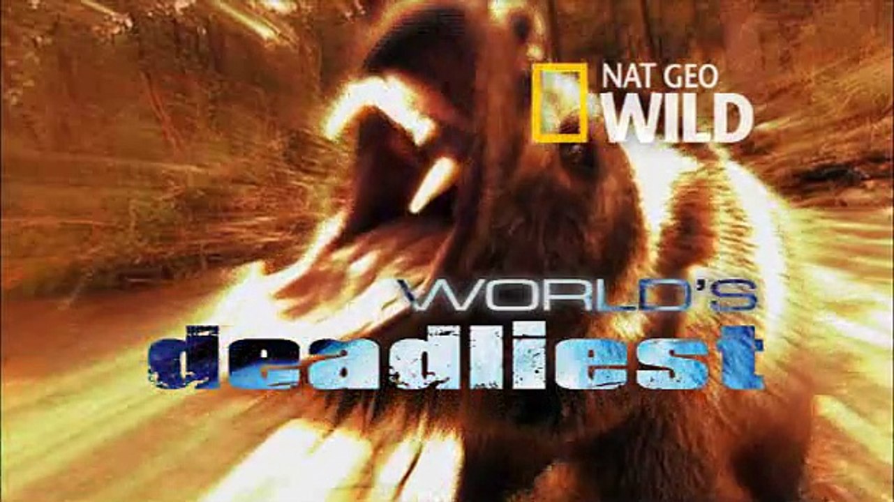 World of Survival**-Baddest-Sea-Lion-vs-Octopus**Must-See-Action-2017