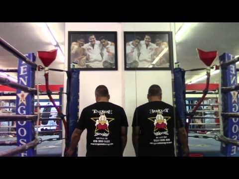 reports say ggg vs lemieux sold 150 PPV - EsNews Boxing