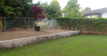 Rajski vrt u dvorištu