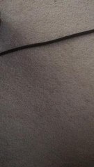 THIS IS A TEST - Disregard