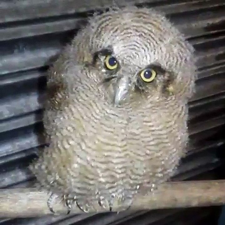 Video by jona__zu