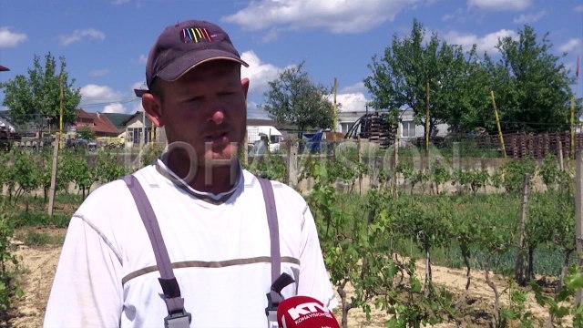 Dëmet vjetore nga të reshurat në Rahovec 5 milionë euro, kompensimi nuk bëhet si duhet