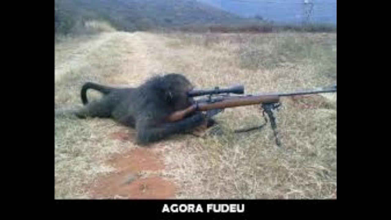 agora fudeu tudo imagens feitas na hora certa! PARTE 2  2017