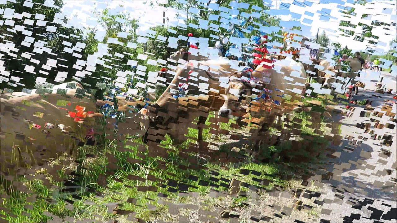 suite de la transhumance 2017