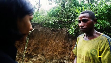 Explorer Yellow Brick Road 720p