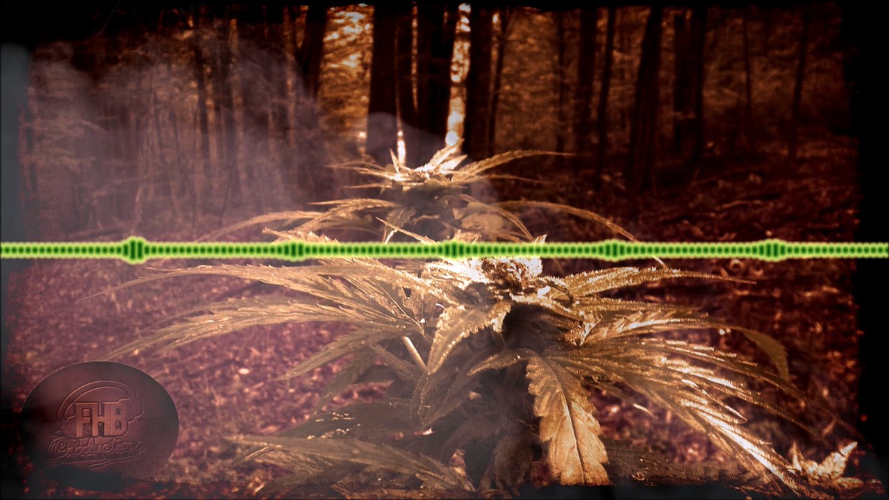 BOOM BAP HIP-HOP INSTRUMENTAL | RAP BEAT | "Doses Of Roses"