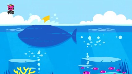 만우절 특집 동요 _ Baby Shock, Baby Shark ! _ 상어 가�