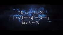 ブルーレイ&DVD『ファンタスティック・ビーストと魔法使いの旅�
