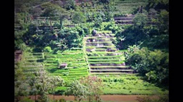 0813 3217 0571, Outbound di Batu Malang, malangoutbound.com