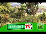 SeneNews TV- Fleuristes sur la VDN