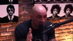 Joe Rogan and Gavin McInnes on Milo Yiannopoulos Controversy - Downloaded from youpak.com (2)