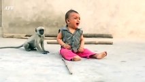 Monkey Trying To Play With Small Kid _ Animals Funny Video
