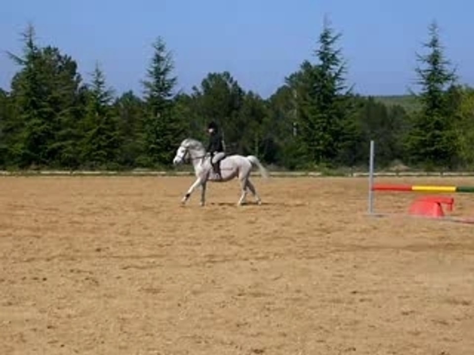 Chacha et moi cso