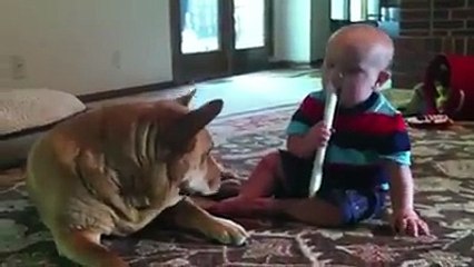 Дети весело проводят время со своими питомцами))