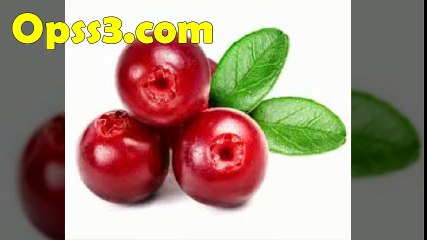 CRANBERRY www.opss3.com 오피쓰 강서오피 강서건마
