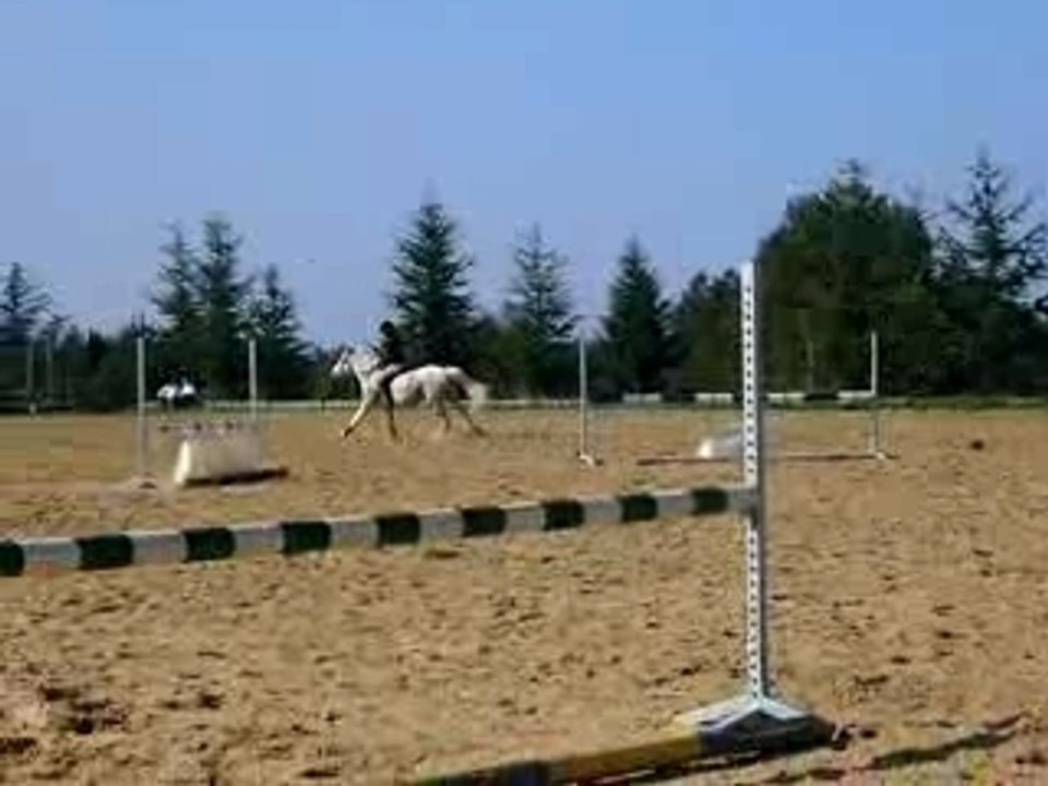 Chacha et moi cso parcours