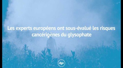 Scandale : les experts européens ont sous-évalué les risques cancérigènes du glysophate