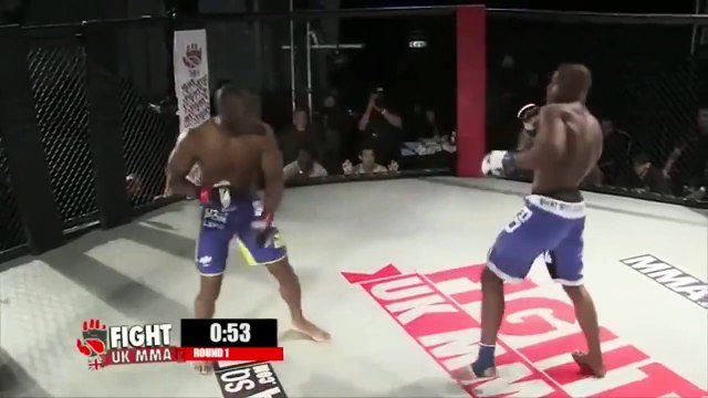 Quand l'arbitre de MMA finit par se battre avec un boxeur !