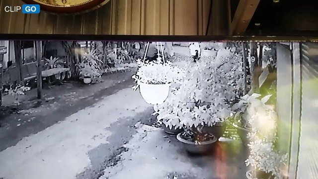 Táo tợn cướp giật giữa ban ngày