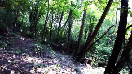 Tiny Creek Fishing after a Flood? (Surprise Catch!)