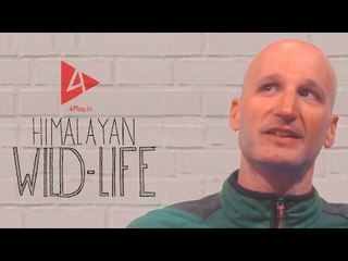 HIMALAYAN WILD-LIFE Ft. Independent explorers Elad Omer and David Yifrah | 4Play