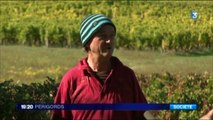 La marche Les Jours Heureux de passage en Dordogne-7yoVI0CptxE