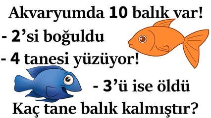 ŞAŞIRTMALI BEYİN YAKAN 10 ZEKA SORUSU