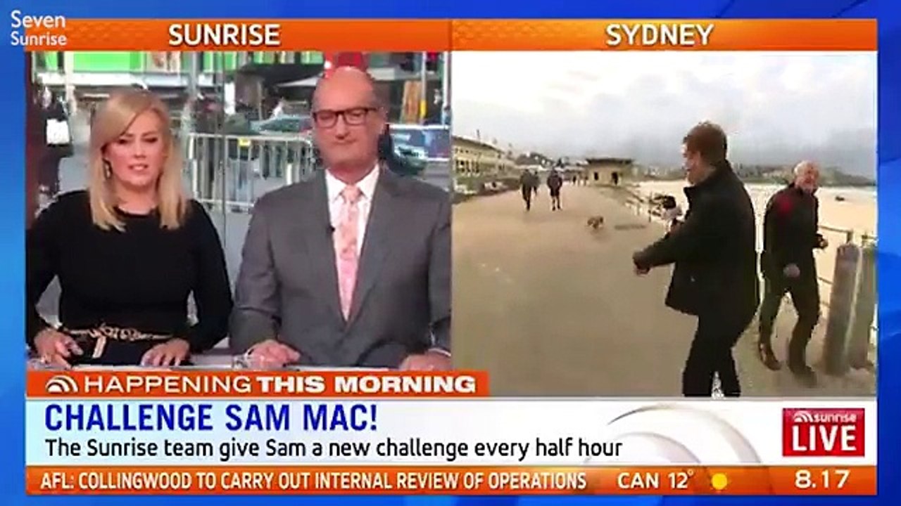 Hilarious moment Sunrise weather presenter Sam Mac spots a dog carrying a handbag and jokes it is the Bali drug smuggler