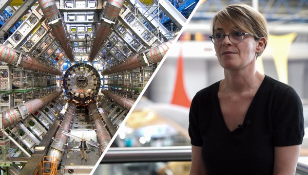 Différence entre boson et champ de Higgs