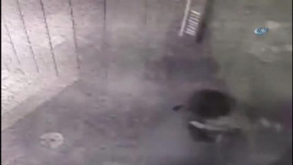 Apartmandan Çuvalla Ayakkabıyı Böyle Çaldı