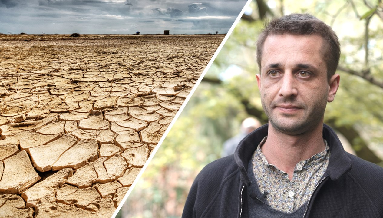 Quel est l’impact du réchauffement climatique sur les insectes ?