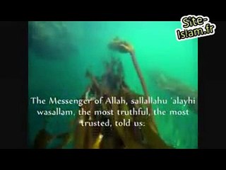 Paradise and the hell , is true.