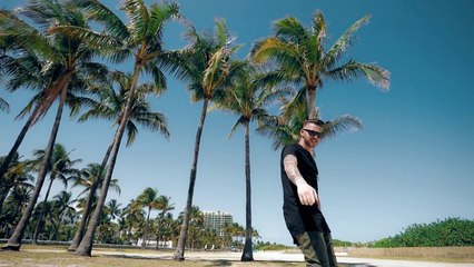 Dejvid Nez & Mc Yankoo - Crna udovica