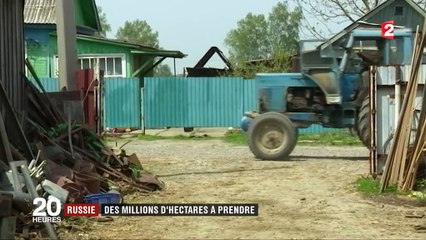 Russie : Vladimir Poutine offre des millions d'hectares en Sibérie