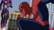 Spider-Man/Luke Cage/Iron Fist/Nova/White Tiger Vs Beetle (Ultimate Spider-Man)