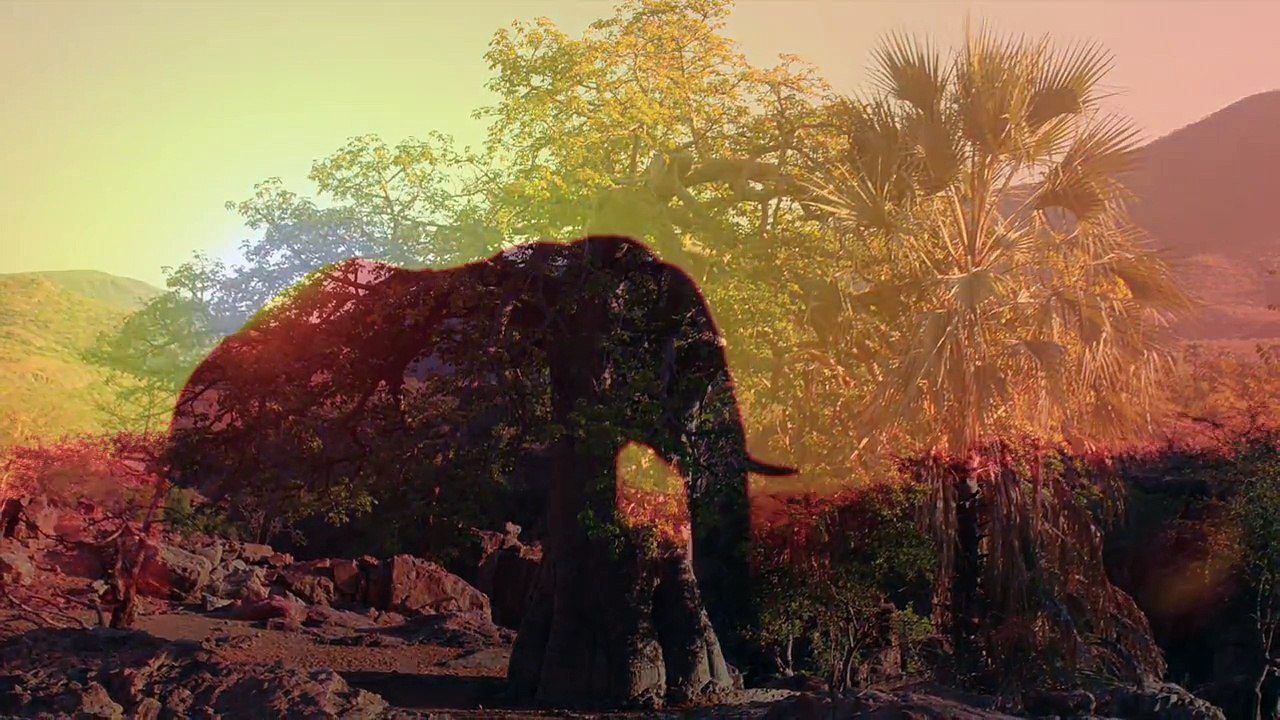 Interview LeZarts Zen - Gaelle Ecoiffier Association Accord et Voix