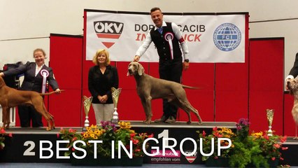 " H'ASICS " IDS INNSBRUCK 2016