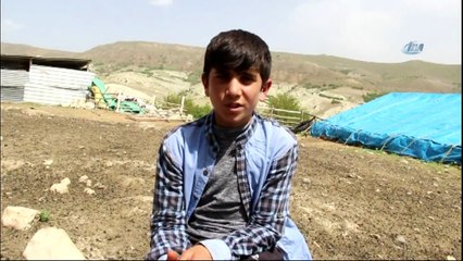 Koyun Sağıp, Çobanlık Yapan Habib’in TEOG Başarısı