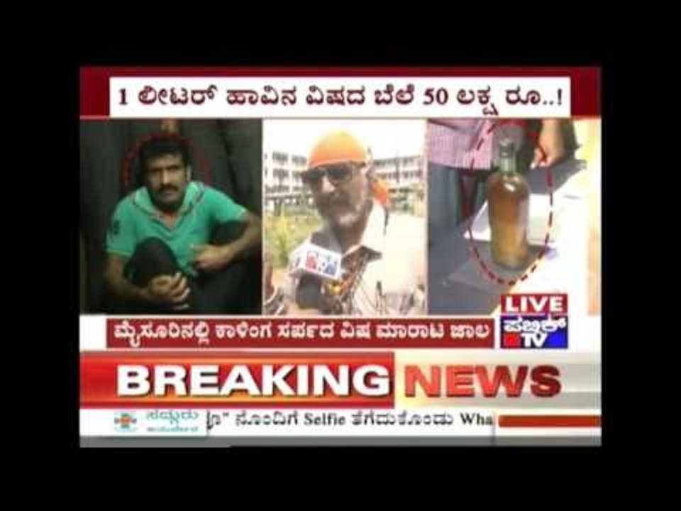 Mysore: Man Arrested For Illegally Selling King Cobra Poison, 1 Ltr Poison Seized