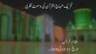 Tehreek-e-Minhaj-ul-Quran ki Wusat-e-Nazri [Speech Shaykh-ul-Islam Dr. Muhammad Tahir-ul-Qadri]